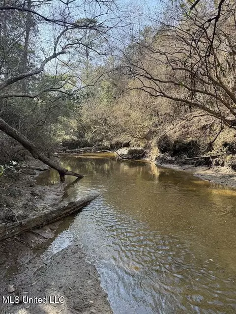 Pete Hickman Road, Saucier, MS 39574 photo 16