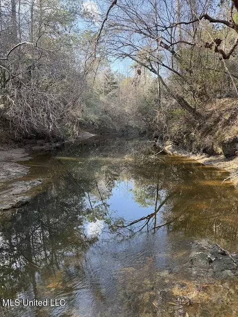 Pete Hickman Road, Saucier, MS 39574 photo 20
