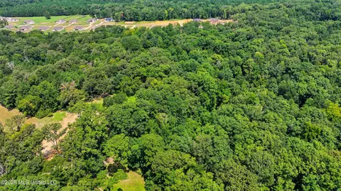View/Area - 939 Mullican Rd, Florence, MS 39073 photo 17 of 29
