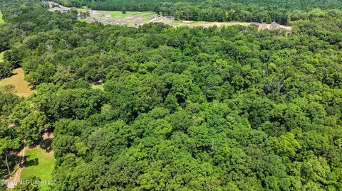 View/Area - 939 Mullican Rd, Florence, MS 39073 photo 16 of 29