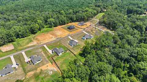 View/Area - 939 Mullican Rd, Florence, MS 39073 photo 18 of 29