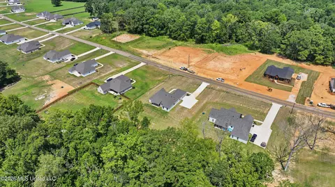 View/Area - 939 Mullican Rd, Florence, MS 39073 photo 21 of 29
