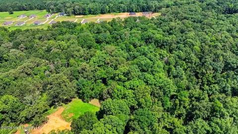 View/Area - 939 Mullican Rd, Florence, MS 39073 photo 21 of 25
