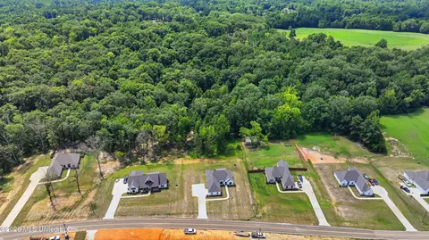 View/Area - 939 Mullican Rd, Florence, MS 39073 photo 13 of 29