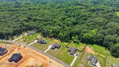 View/Area - 939 Mullican Rd, Florence, MS 39073 photo 12 of 25