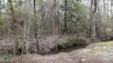 18184 Road 227, Saucier, MS 39574 photo 39