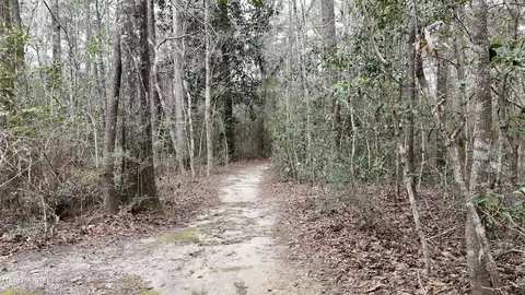 18184 Road 227, Saucier, MS 39574 photo 38