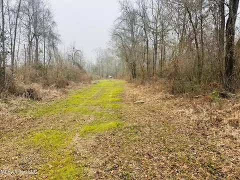 Sidney Ellzey Road, Tylertown, MS 39667