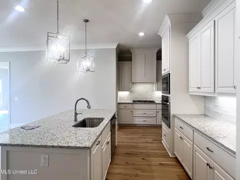 Kitchen - 220 Freedom Ring Dr, Brandon, MS 39047 photo 3 of 3