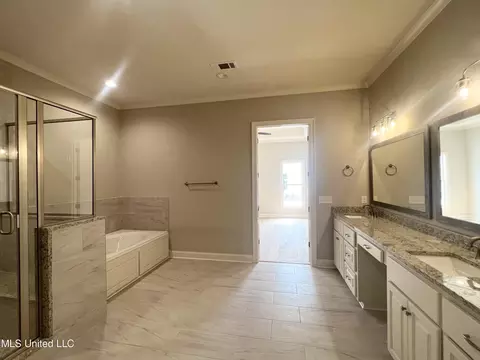 Bath - 220 Freedom Ring Dr, Brandon, MS 39047 photo 2 of 5