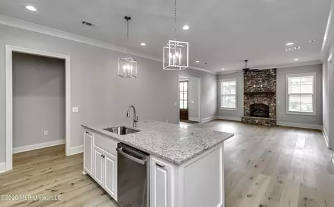 Other - 220 Freedom Ring Dr, Brandon, MS 39047 photo 37 of 52