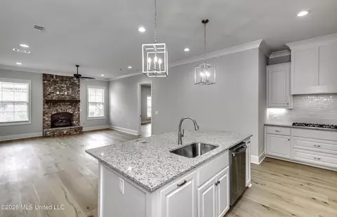 Other - 220 Freedom Ring Dr, Brandon, MS 39047 photo 38 of 52
