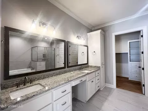 Bath - 220 Freedom Ring Dr, Brandon, MS 39047 photo 3 of 5