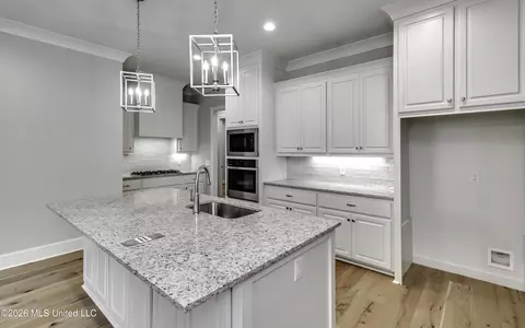 Other - 220 Freedom Ring Dr, Brandon, MS 39047 photo 14 of 52