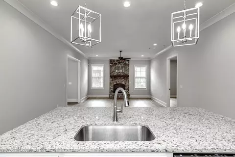 Other - 220 Freedom Ring Dr, Brandon, MS 39047 photo 15 of 52