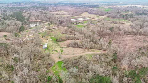 Stuart Road, Morton, MS 39117 photo 4