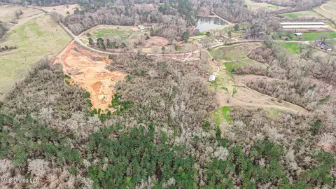 Stuart Road, Morton, MS 39117 photo 11