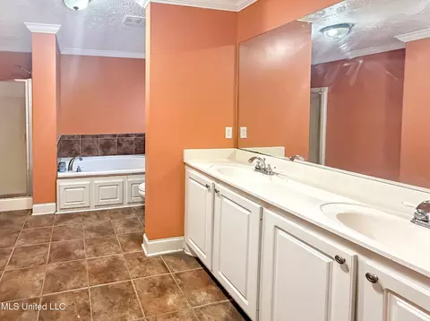 Bath - 527 Roxbury Pl, Florence, MS 39073 photo 1 of 3