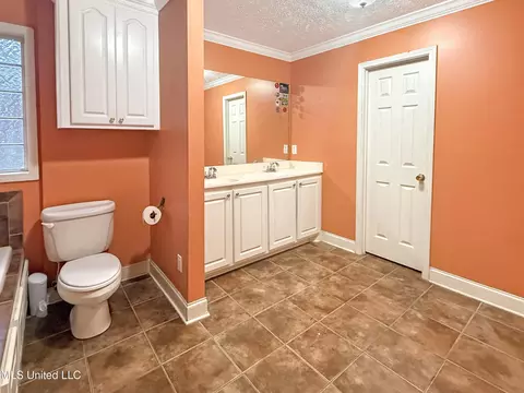 Bath - 527 Roxbury Pl, Florence, MS 39073 photo 2 of 3