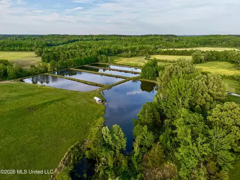 0001 County Road 204, Tiplersville, MS 38674