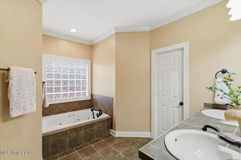 Bath - 1002 Eastview Cv, Brandon, MS 39042 photo 3 of 4