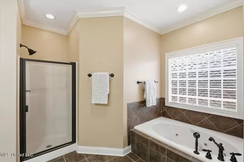 Bath - 1002 Eastview Cv, Brandon, MS 39042 photo 4 of 4