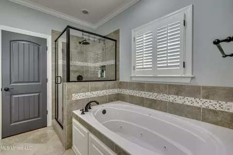 Bath - 167 Brisco St, Madison, MS 39110 photo 1 of 8