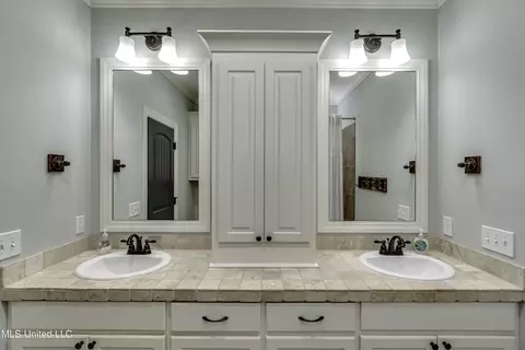 Bath - 167 Brisco St, Madison, MS 39110 photo 8 of 8