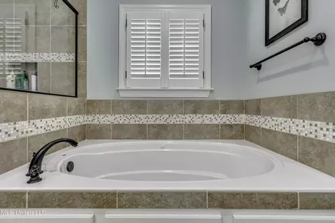 Bath - 167 Brisco St, Madison, MS 39110 photo 3 of 8