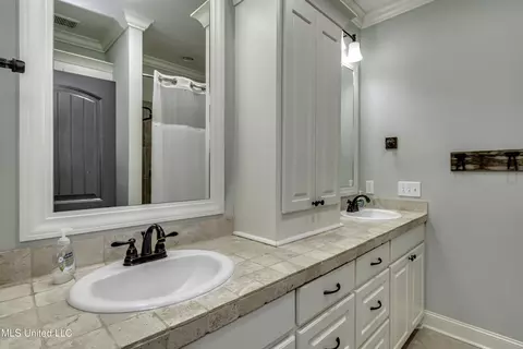 Bath - 167 Brisco St, Madison, MS 39110 photo 6 of 8