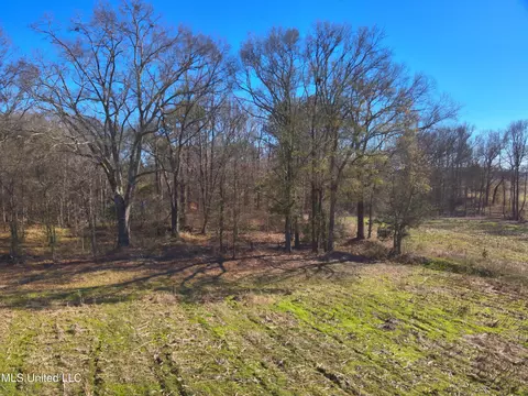577 Black Jack Rd, Vaughan, MS 39179 photo 5