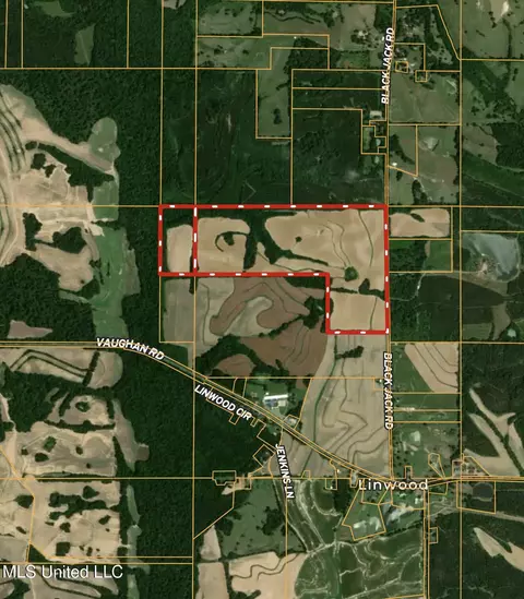 577 Black Jack Rd, Vaughan, MS 39179 photo 8