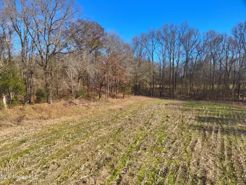 577 Black Jack Rd, Vaughan, MS 39179 photo 6