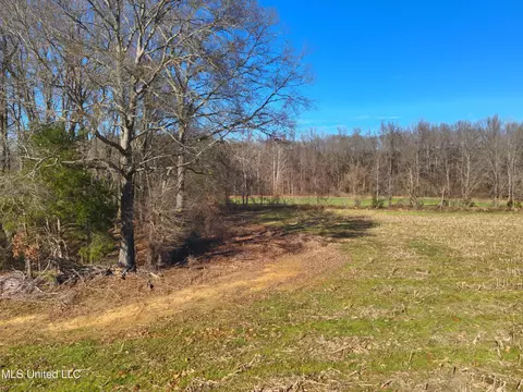 577 Black Jack Rd, Vaughan, MS 39179 photo 4