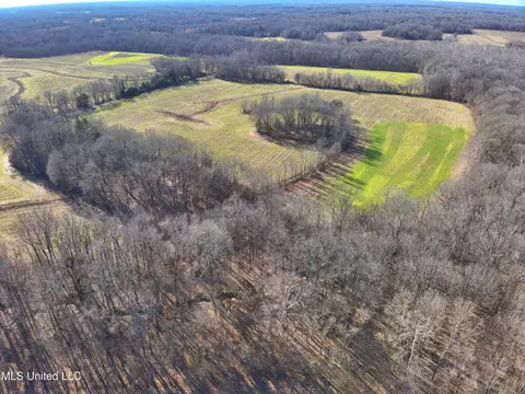 577 Black Jack Rd, Vaughan, MS 39179