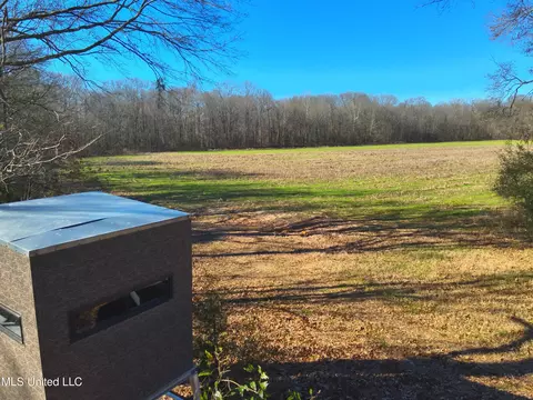 577 Black Jack Rd, Vaughan, MS 39179 photo 3