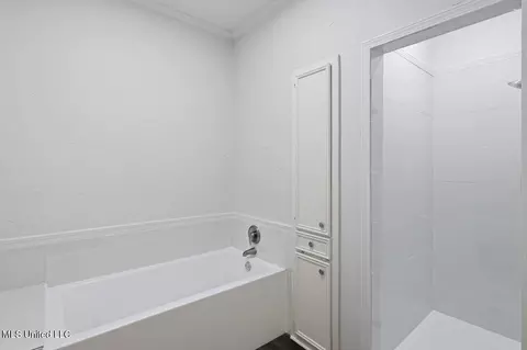 Bath - 600 Bay Pointe Ln, Brandon, MS 39047 photo 2 of 4