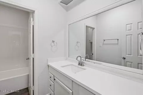 Bath - 600 Bay Pointe Ln, Brandon, MS 39047 photo 3 of 4