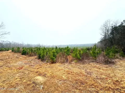 04 Sidney Ellzey Rd, Tylertown, MS 39667