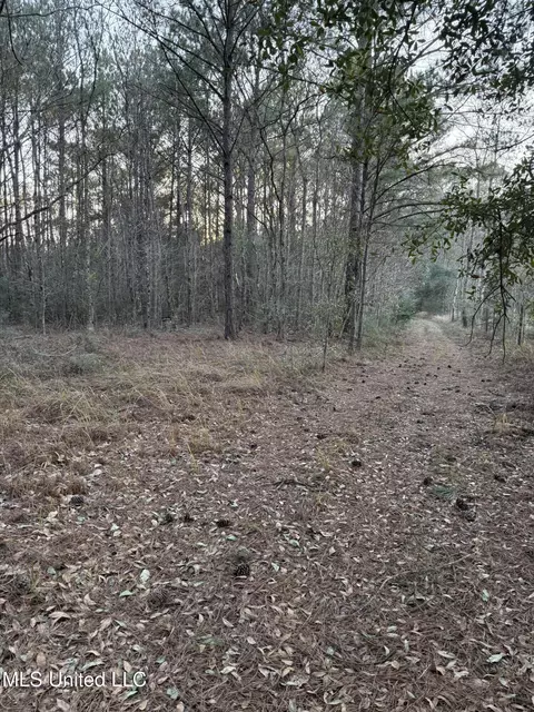 Lundy, Lucedale, MS 39452 photo 5