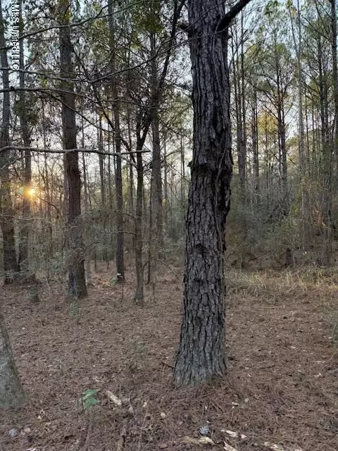 Lundy, Lucedale, MS 39452