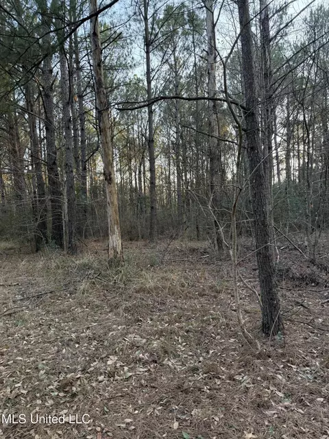 Lundy, Lucedale, MS 39452 photo 3