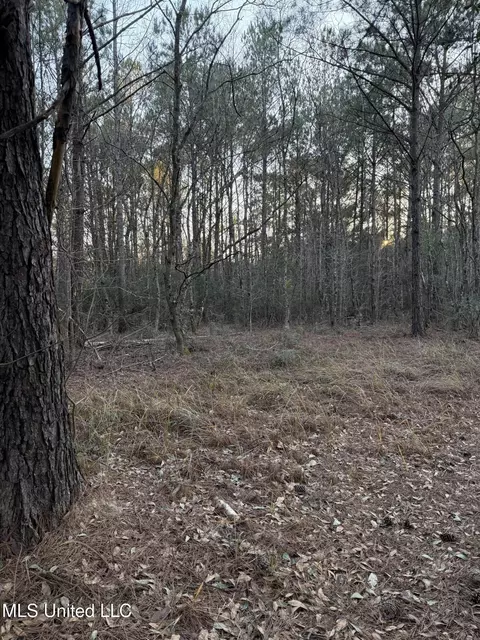 Lundy, Lucedale, MS 39452 photo 4