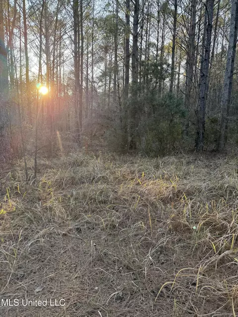 Lundy, Lucedale, MS 39452 photo 6