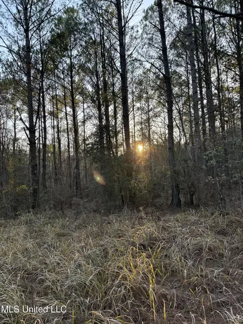 Lundy, Lucedale, MS 39452 photo 2