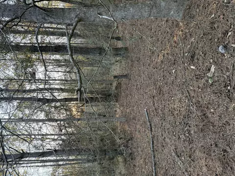 Lundy, Lucedale, MS 39452 photo 7