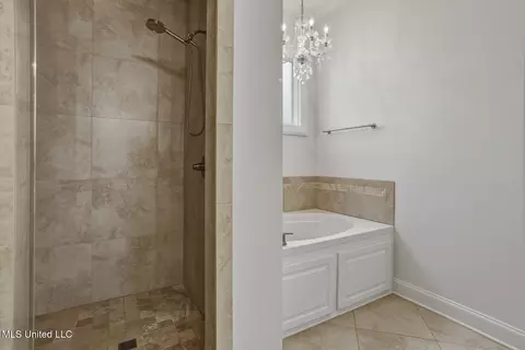 Bath - 103 Camden Way, Madison, MS 39110 photo 4 of 7