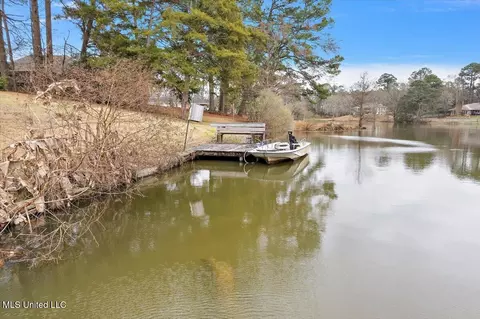 View/Area - 489 Cheyenne Ln, Madison, MS 39110 photo 3 of 9