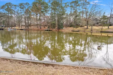 View/Area - 489 Cheyenne Ln, Madison, MS 39110 photo 2 of 9