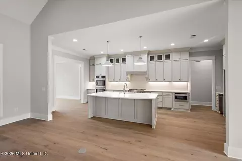 Entry Way - 207 Welchshire Dr, Madison, MS 39110 photo 3 of 5